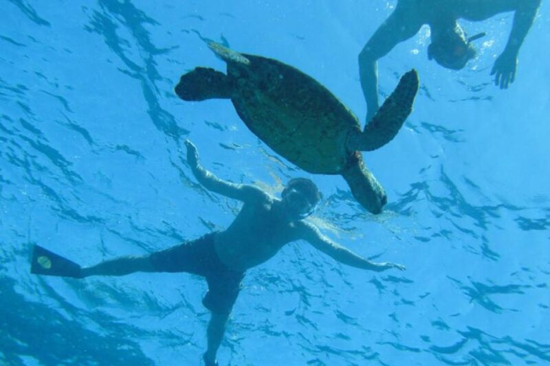 Hawaii: Puuhonua O Honaunau & Kealakekua Bay Snorkel Tour - Free Cancellation