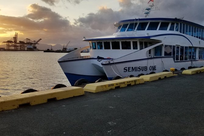 Hawaii Semisub Classic Friday Fireworks Dinner Cruise - Cruise Highlights