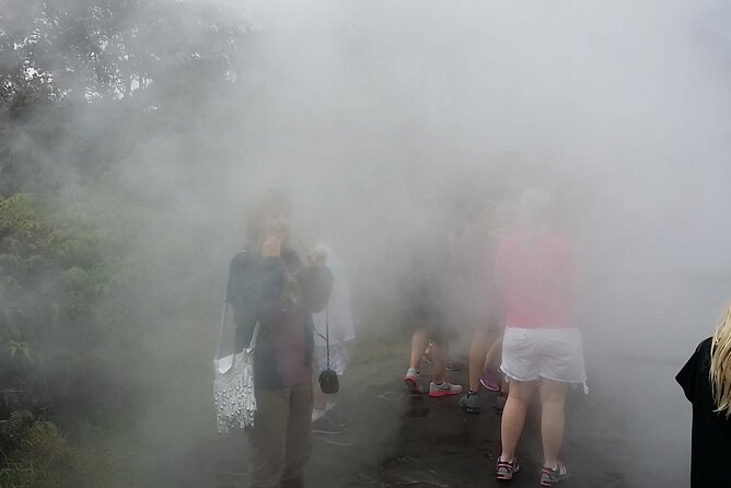 Hawaii Volcano National Park Shore Excursion - Key Attractions