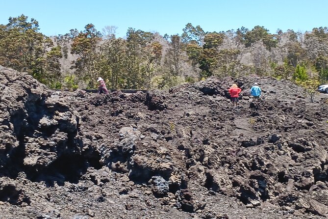 Hawaii Volcano National Park Shore Excursion - Booking and Logistics