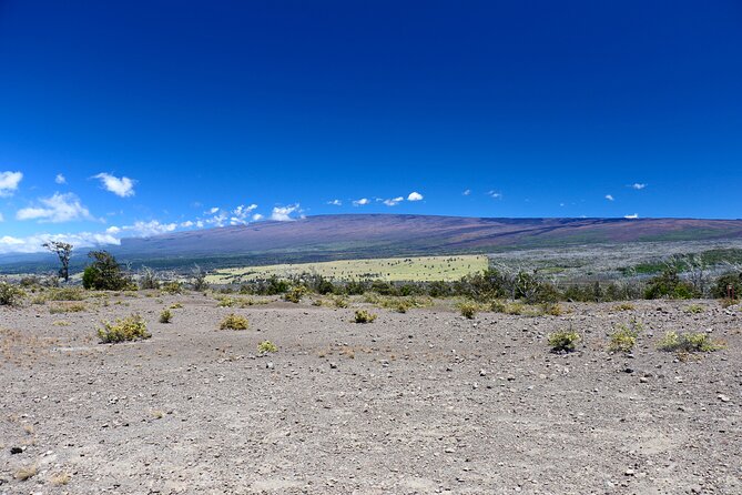 Hawaii Volcanoes National Park and Hilo Highlights Small Group Tour - Customer Feedback and Ratings