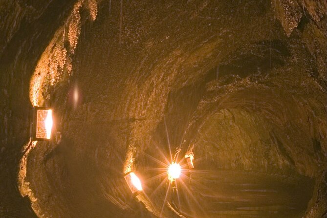 Hawaii Volcanoes National Park Experience From Oahu - Tour Accessibility and Details