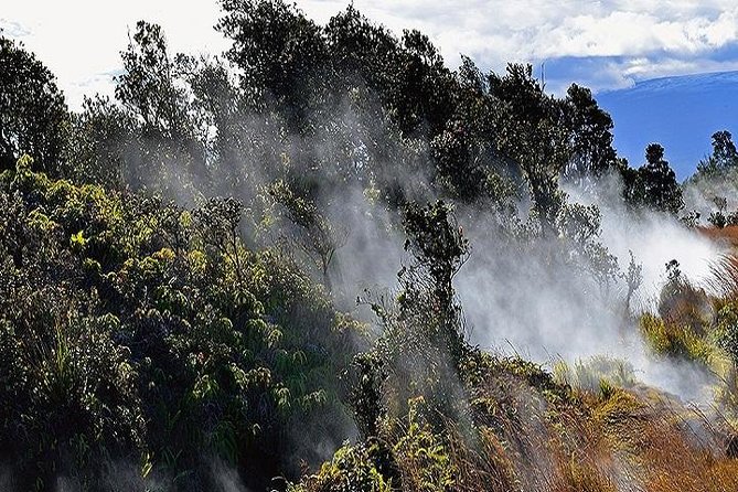 Hawaii Volcanoes National Park Experience From Oahu - Exclusions