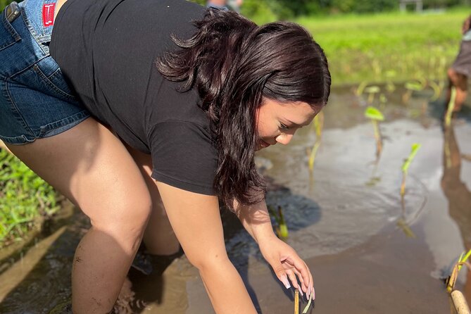 Hawaiian Cultural Immersion Experience - Exploring Scenic Landscapes