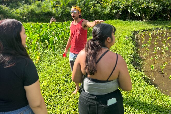 Hawaiian Cultural Immersion Experience - Personalized Pickup Service