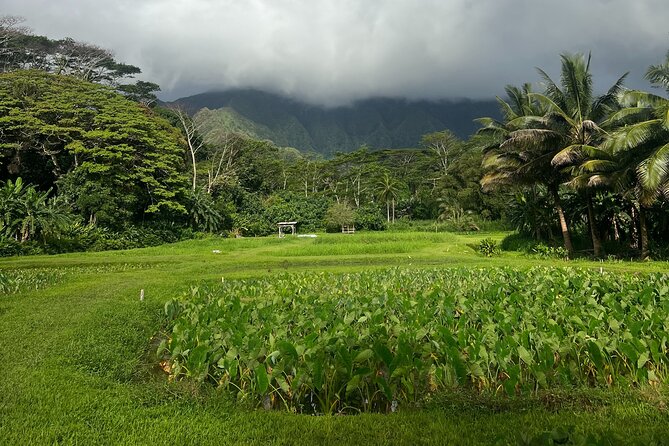 Hawaiian Cultural Immersion Experience - Group Size and Confirmation
