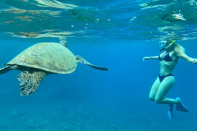 Hawaiian Culture & Snorkel Adventure With Photo/Videos - Snorkeling Equipment and Safety