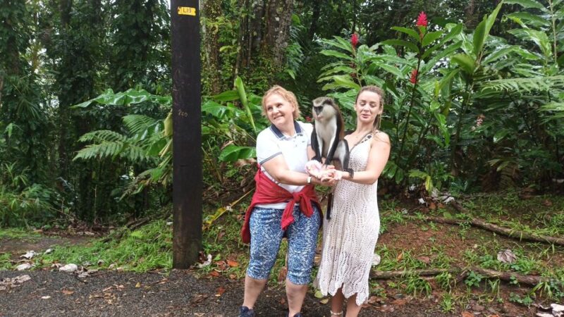 Hawaiian Leis Half-Day Grenadian Escapade - Key Points