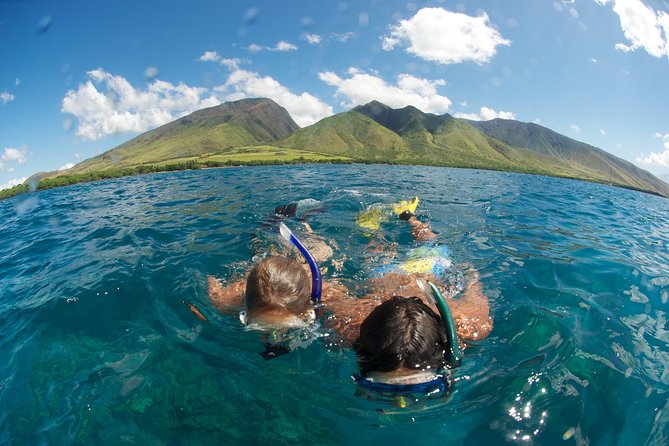 Hawaiian Outrigger Canoe Cultural and Turtle Tour - Additional Tour Information