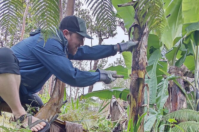 Hawaiian Rainforest Banana Cultivation Experience - Tour Group Size and Pricing