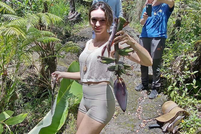 Hawaiian Rainforest Banana Cultivation Experience - Cancellation Policy and Accessibility