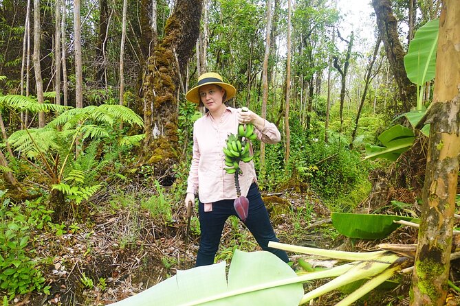 Hawaiian Rainforest Banana Cultivation Experience - Customer Feedback and Host Response