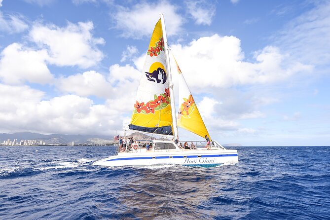 Hawaiian Sea Turtles and Snorkeling Experience in Kona With Lunch - Meeting and Pickup Instructions