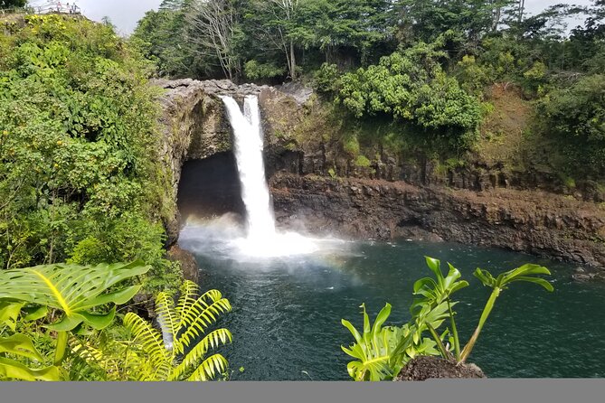Hawaiis Volcanoes National Park From Hilo Only - Exploring the Akatsuka Orchid Gardens