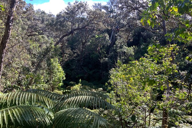 Hawaiis Volcanoes National Park From Hilo Only - Logistics and Additional Information