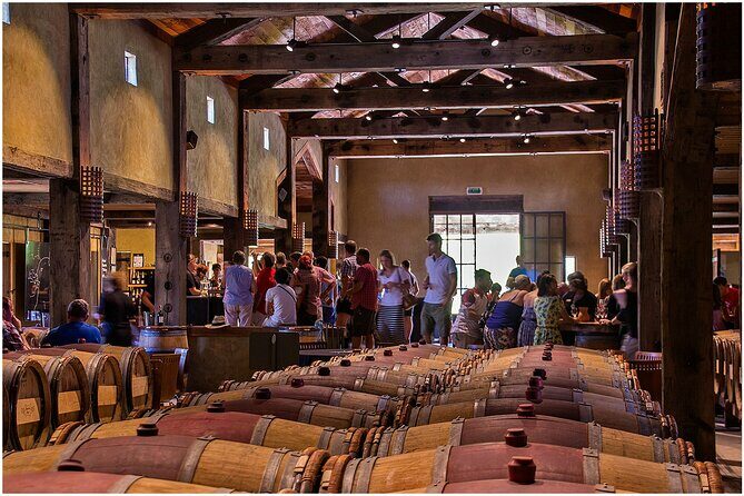 Hawke's Bay/Napier sight seeing,Temata peak,Wine Tasting - A Look at the Tour Itinerary: What to Expect