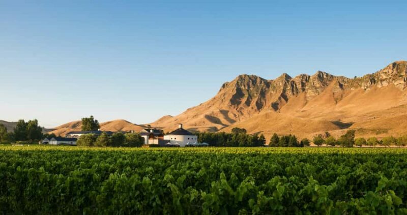 Hawke's Bay: Self Guided Coast to Vineyards Cycle Tour - The Value Proposition