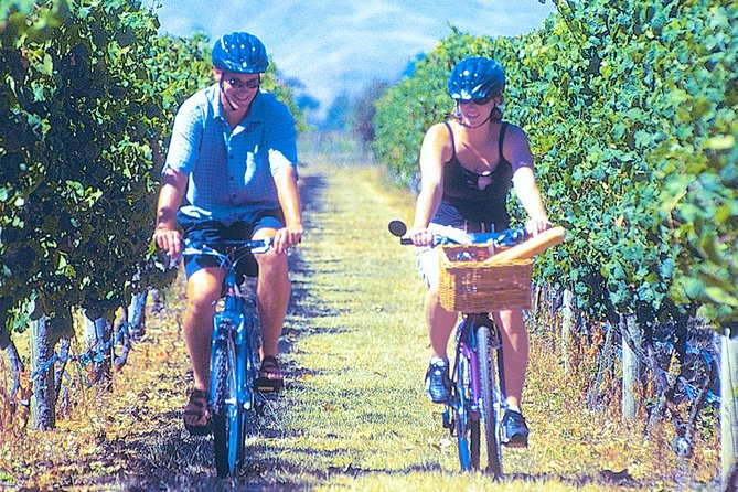 Hawkes Bay Wineries Self-Guided Bike Tour - Experience Highlights