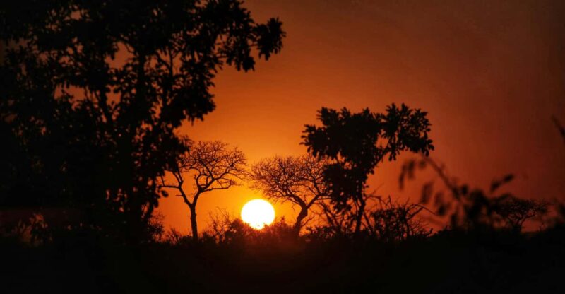 Hazyveiw : Kruger National Park Sunset Game Drive - Key Points
