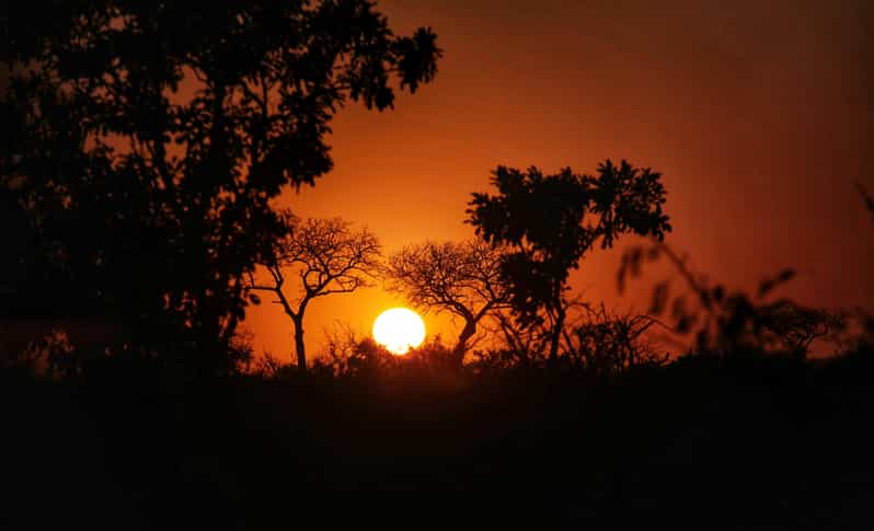 Hazyveiw : Kruger National Park Sunset Game Drive - Wildlife Experience