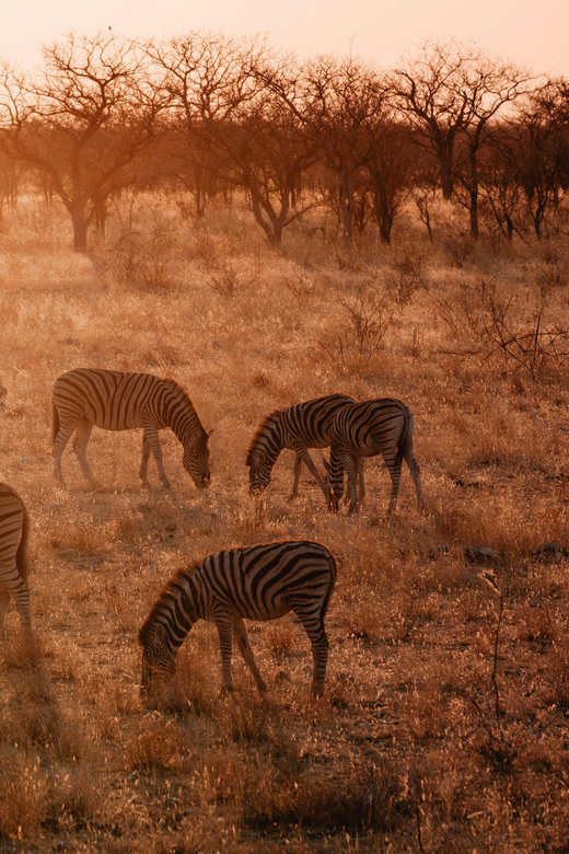 Hazyveiw : Kruger National Park Sunset Game Drive - What to Bring
