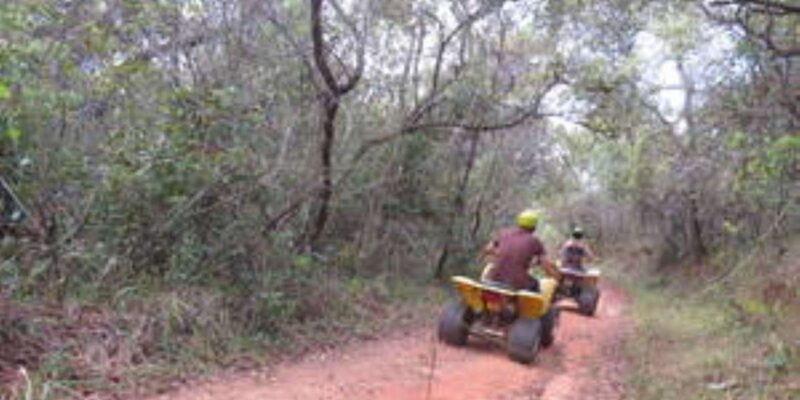 Hazyview : 30 Minutes Quad Ride - Adventure and Natural Beauty