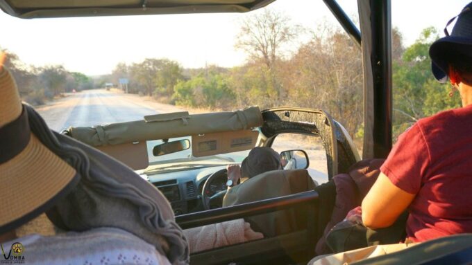 Hazyview: Private Full-Day Kruger Safari - Inclusions and Pickup/Drop-off