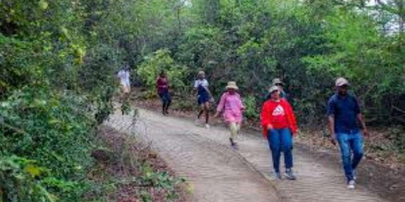 Hazyview : Sabie River Hiking Trail 12km - Whats Included