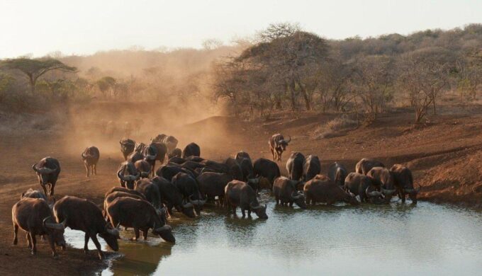 Hazyview to Kruger Park Safari & Panorama Route 2-Day Tour - Panorama Route Highlights