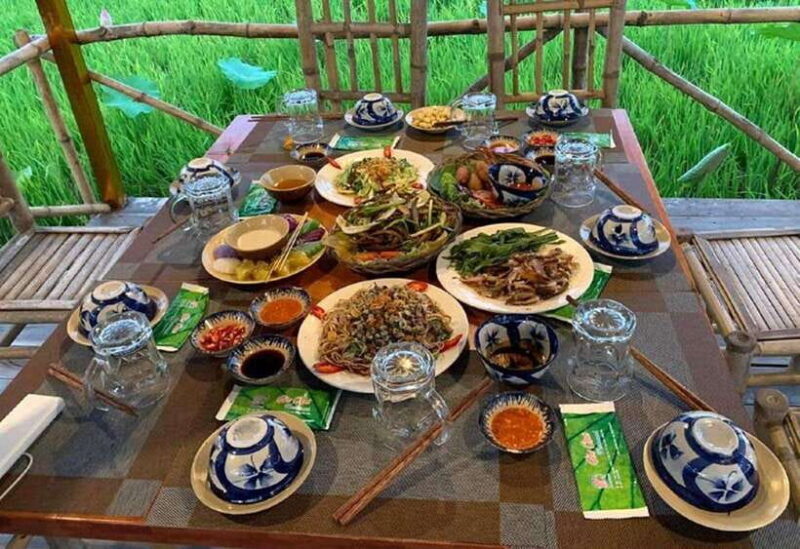 HCM: Authentic Dong Thap Mekong Delta Day Trip & Boat Ride - Trip Overview and Pricing