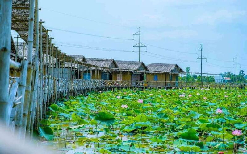 HCM: Authentic Dong Thap Mekong Delta Day Trip & Boat Ride - Inclusions and Exclusions