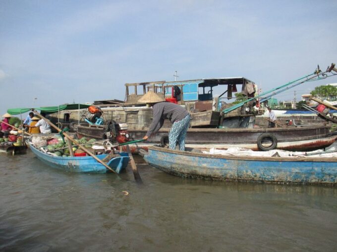 HCMC: Cai Rang Floating Market & Mekong Delta Private Tour - Bee Farm and Local Fruits