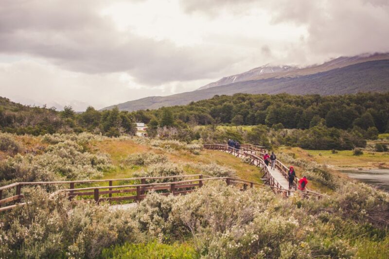 HD Tierra Del Fuego National Park (No Train) - Important Details