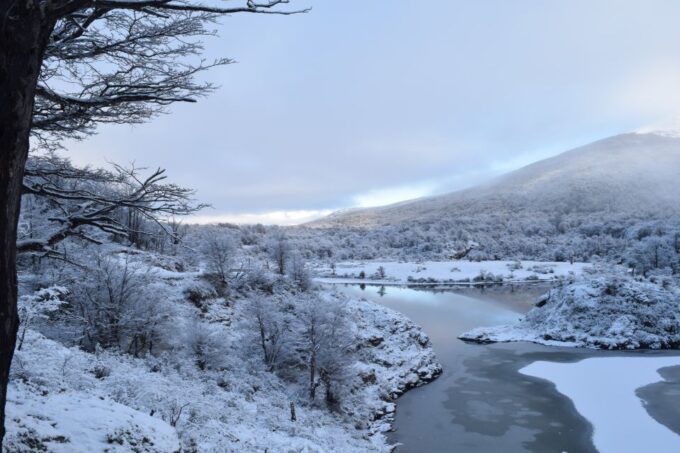 HD Tierra Del Fuego National Park (No Train) - Landscape and Scenery