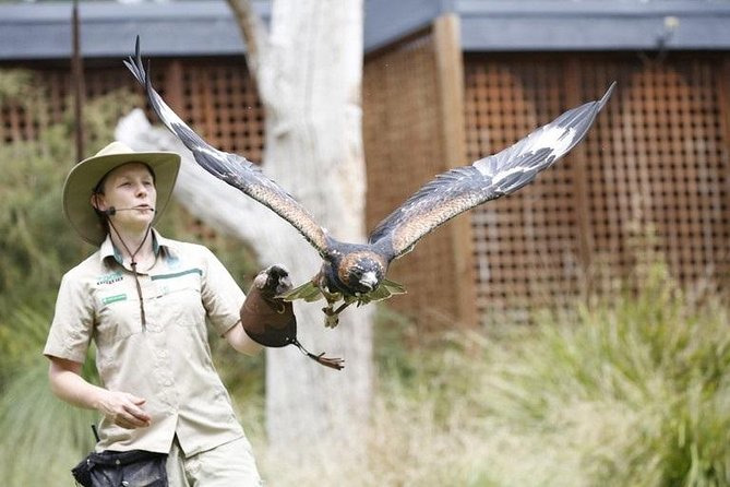 Healesville Sanctuary General Entry Ticket - Transportation and Pickup Options