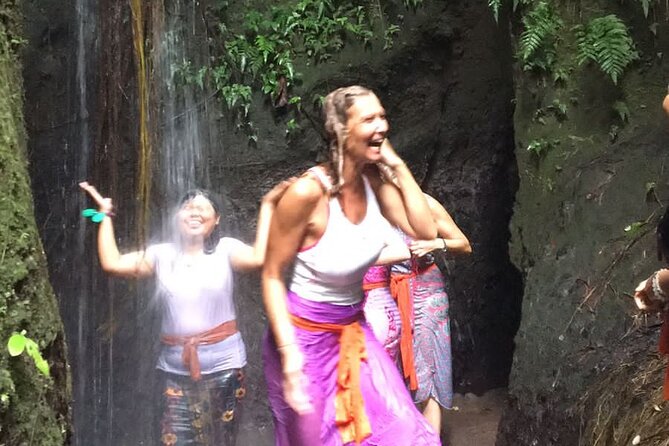 Healing and Purifications Tour in Bali - Activities and Experience