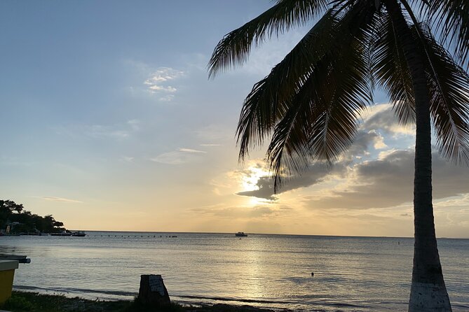 Healing Retreat, Beach and Bio Bay Tour in Puerto Rico - Visiting the Hot Springs