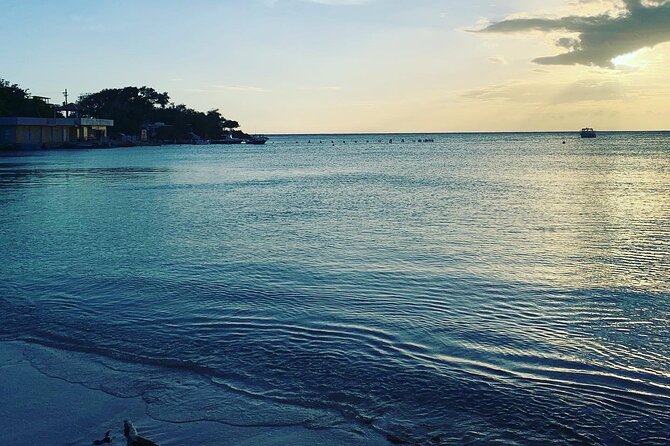 Healing Retreat, Beach and Bio Bay Tour in Puerto Rico - Included Amenities and Meals