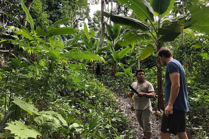 Healing, Treatment With Medicinal Plants 7 Days Green Wild Amazon Expedition - Using Medicinal Plants