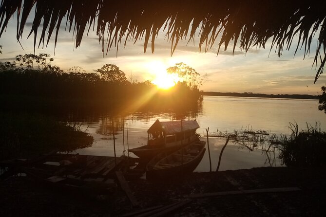 Healing, Treatment With Medicinal Plants 7 Days Green Wild Amazon Expedition - Continued Medicinal Plant Practice