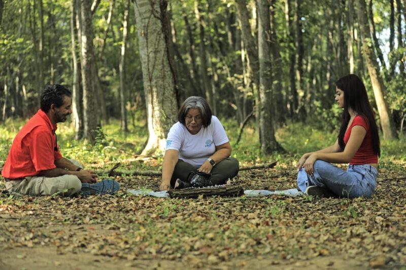Healing With the Forest - Key Points