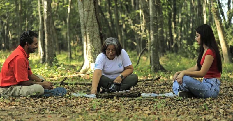 Healing With the Forest - Breathing Exercises
