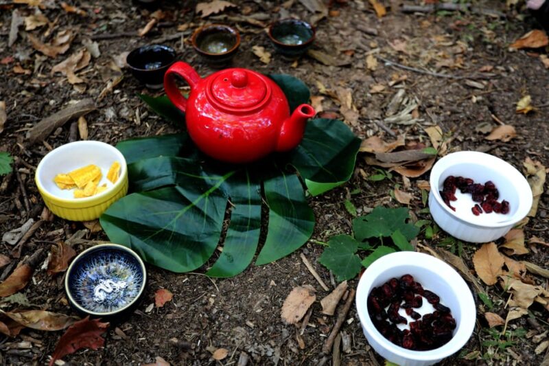 Healing With the Forest - What to Bring