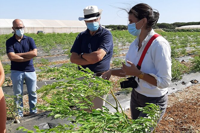Healthy Eco-Finca and Pine Forest Experience - Key Points