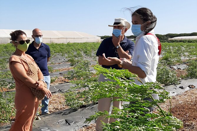 Healthy Eco-Finca and Pine Forest Experience - Transportation and Meeting Points