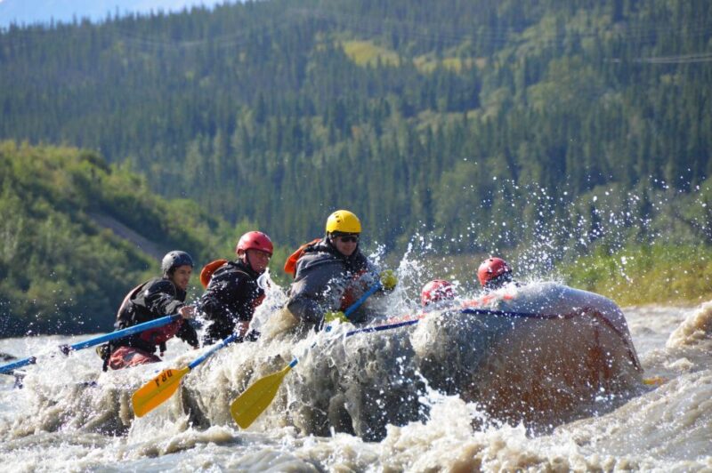 Healy: Denali National Park Class IV Whitewater Rafting Tour - Rapids and Difficulty Levels