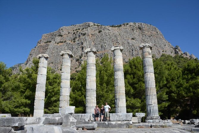 Heart of Aegean: Private Priene - Miletus - Didyma Tour - Quick Points