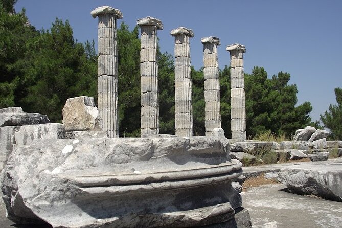 Heart of Aegean: Private Priene - Miletus - Didyma Tour - Customer Testimonials and Tour Ratings