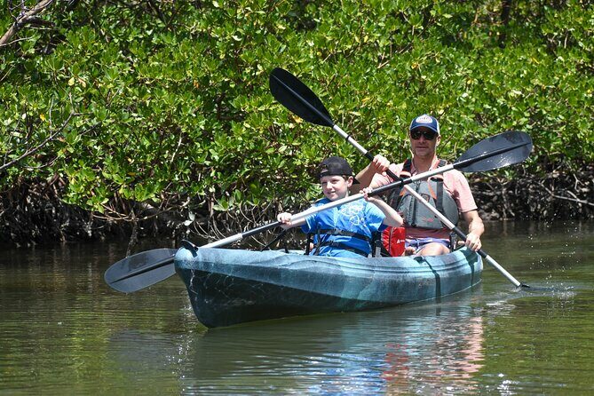 Heart of Rookery Bay Kayak Tour - Key Points
