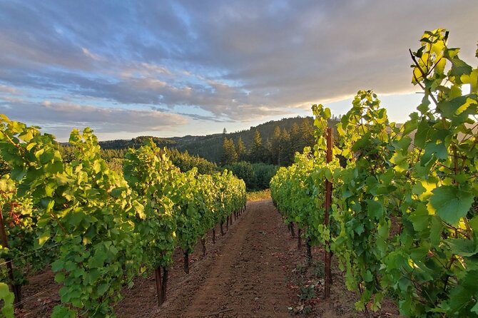 Heart of Willamette Winery Pass : Wine Tastings and Discounts - Exclusive Winery Discounts